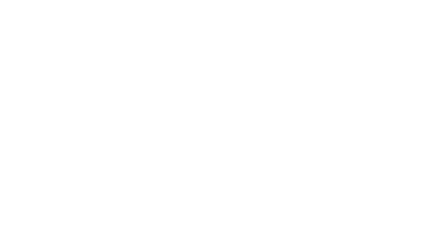 Bridgers